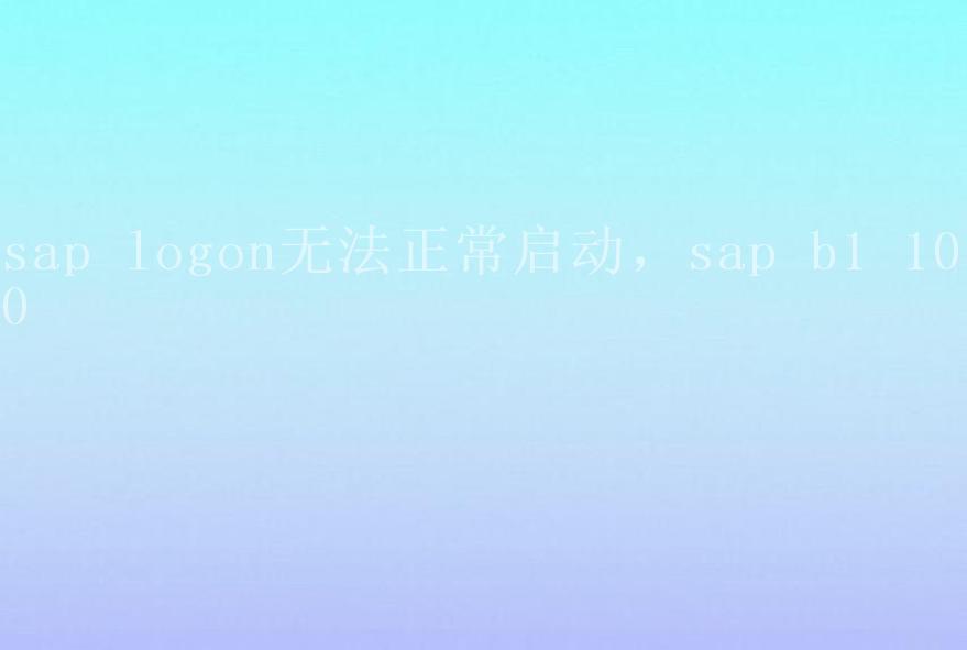 sap logon无法正常启动，sap b1 10.01