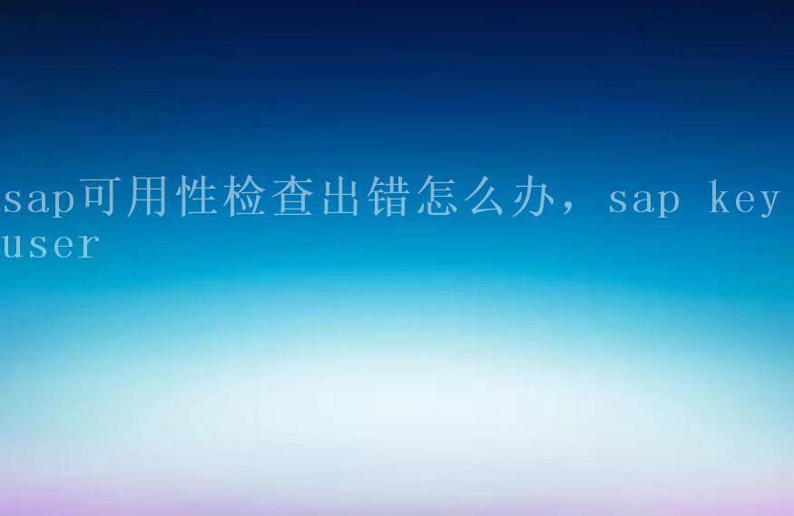 sap可用性检查出错怎么办，sap key user2