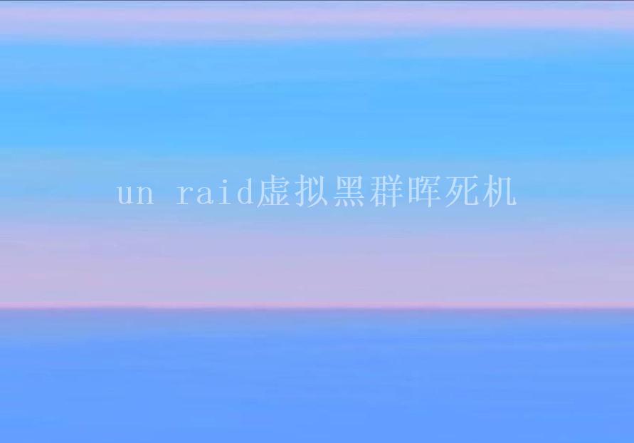 un raid虚拟黑群晖死机2