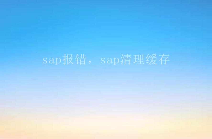 sap报错，sap清理缓存2