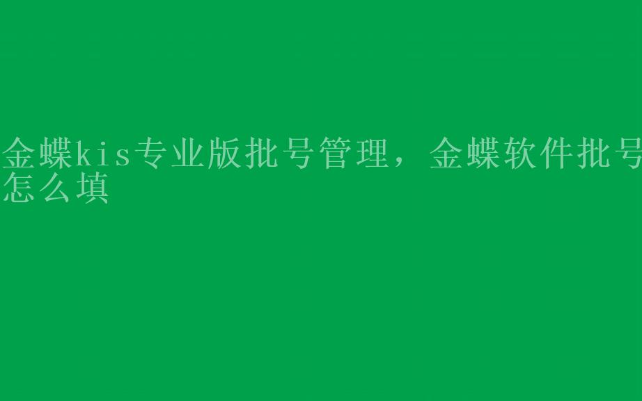 金蝶kis专业版批号管理，金蝶软件批号怎么填1