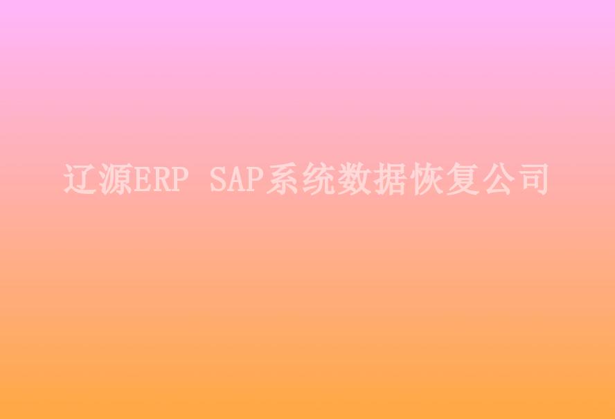 辽源ERP SAP系统数据恢复公司1