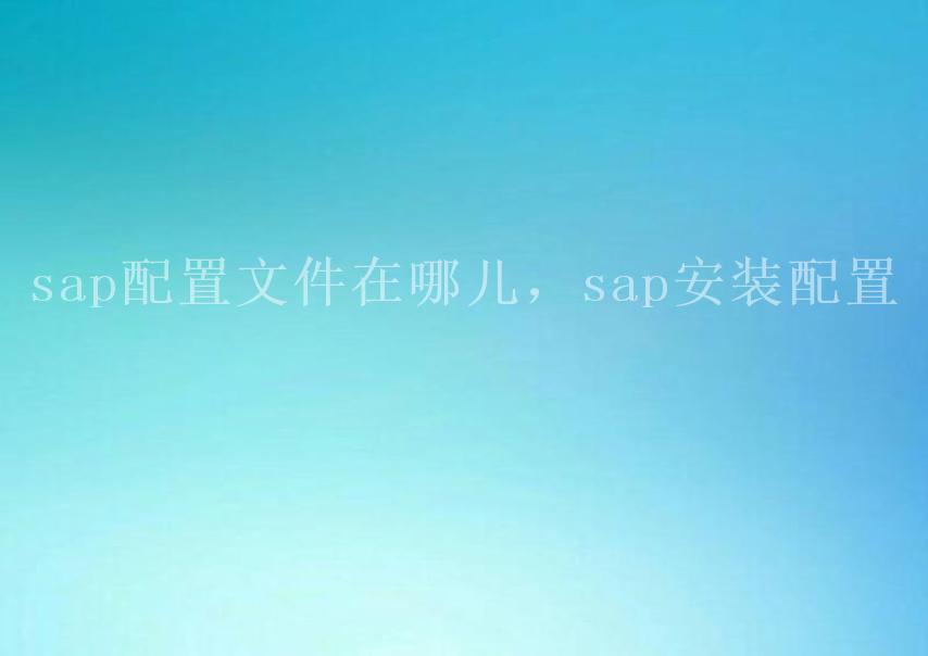 sap配置文件在哪儿，sap安装配置1