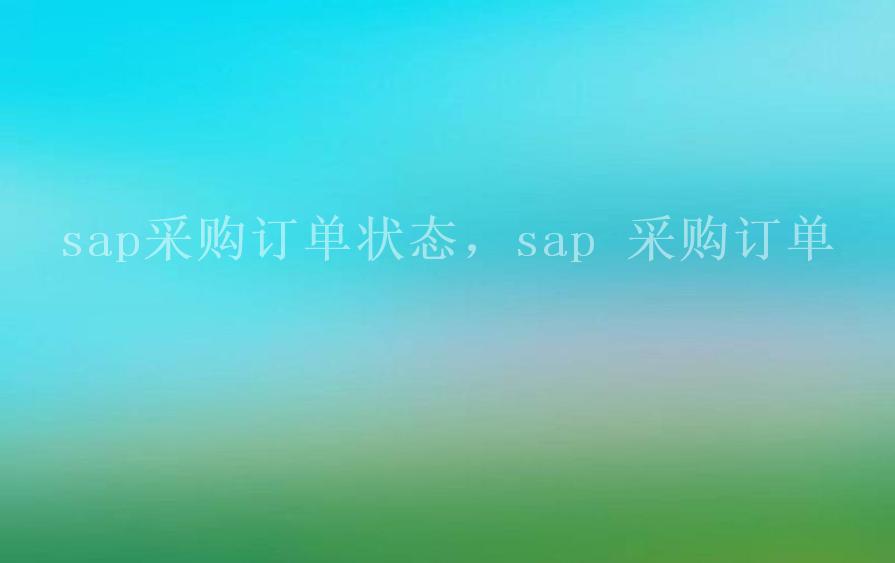 sap采购订单状态，sap 采购订单1