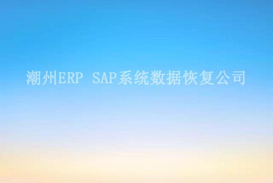 潮州ERP SAP系统数据恢复公司1