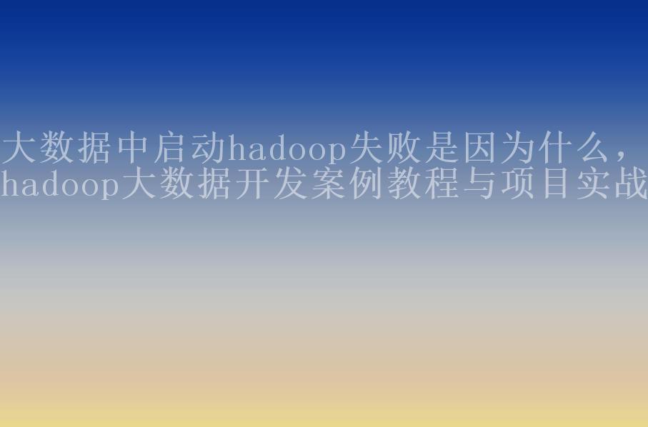 大数据中启动hadoop失败是因为什么，hadoop大数据开发案例教程与项目实战1