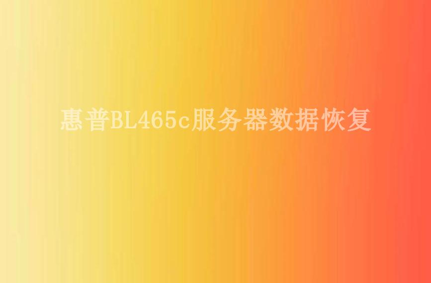 惠普BL465c服务器数据恢复2