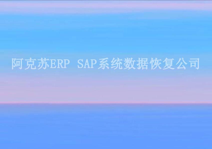 阿克苏ERP SAP系统数据恢复公司1