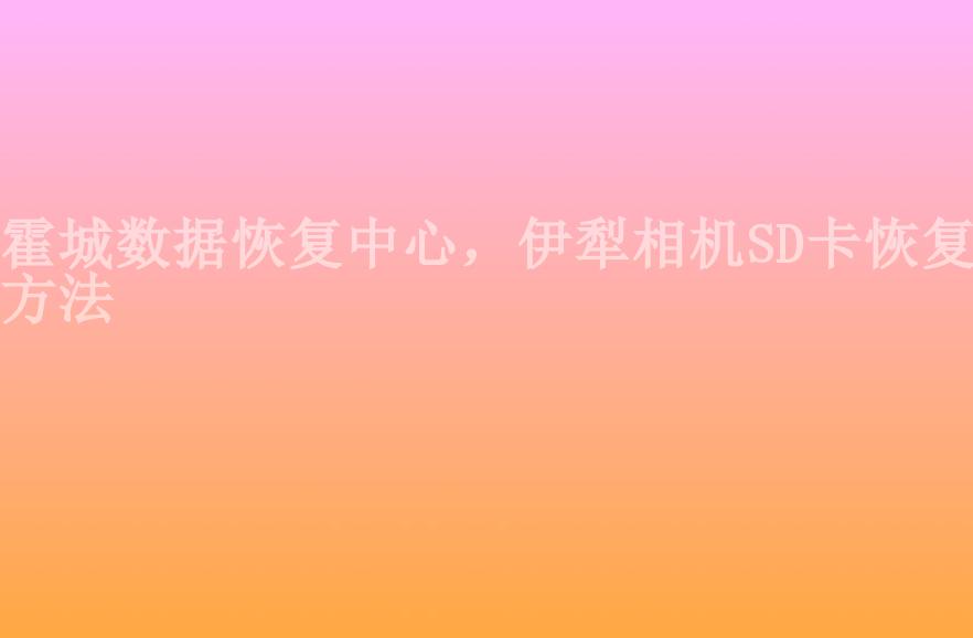 霍城数据恢复中心，伊犁相机SD卡恢复方法1