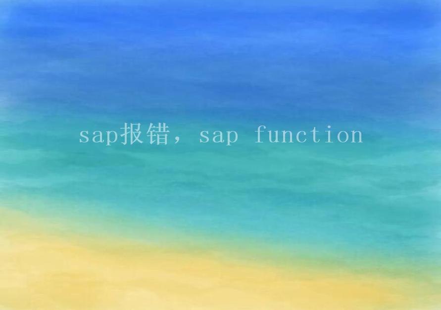 sap报错，sap function2