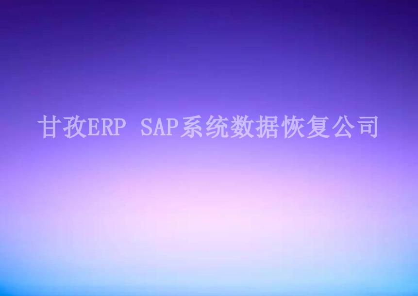 甘孜ERP SAP系统数据恢复公司2