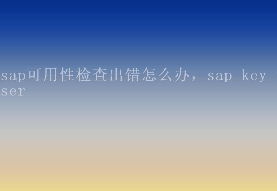 sap可用性检查出错怎么办，sap key user1