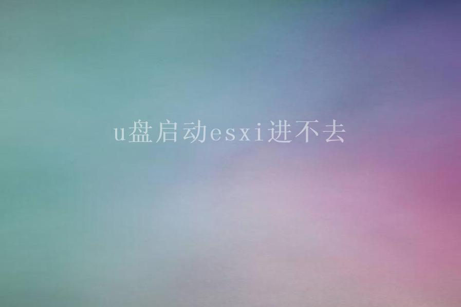 u盘启动esxi进不去2