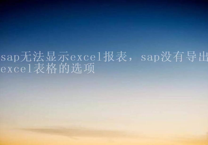 sap无法显示excel报表，sap没有导出excel表格的选项2