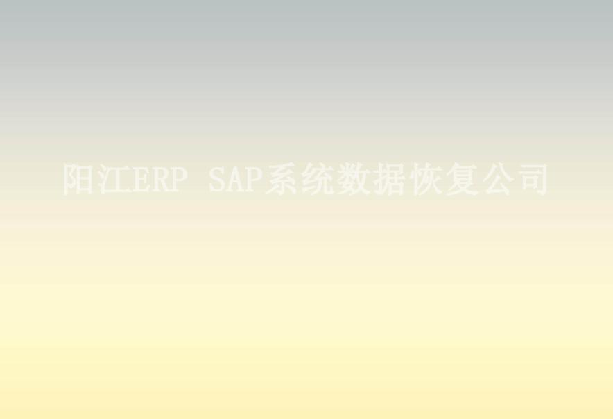 阳江ERP SAP系统数据恢复公司2