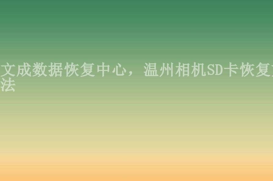 文成数据恢复中心，温州相机SD卡恢复方法1