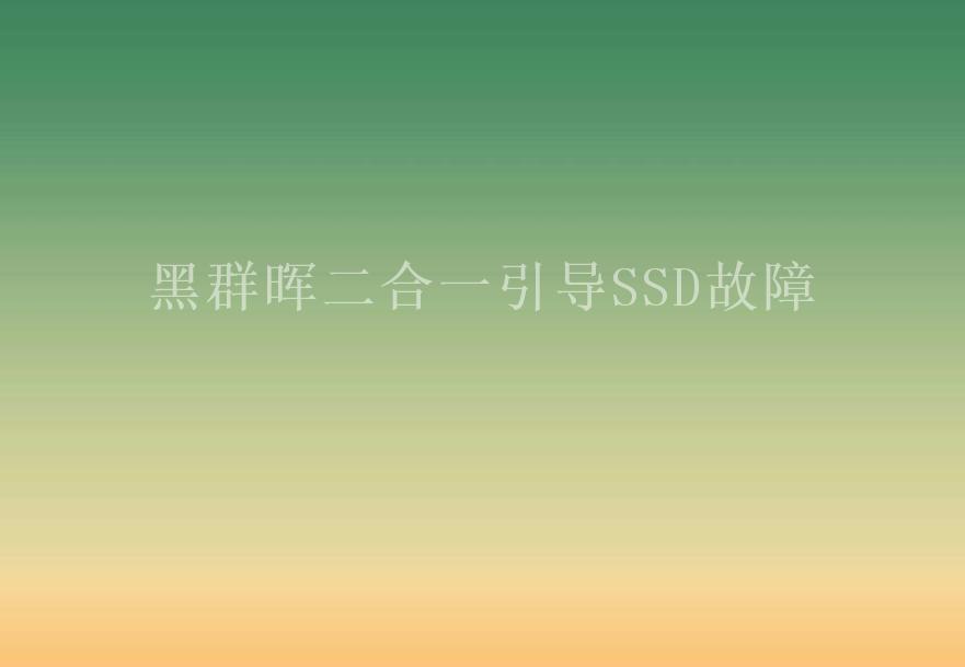 黑群晖二合一引导SSD故障2