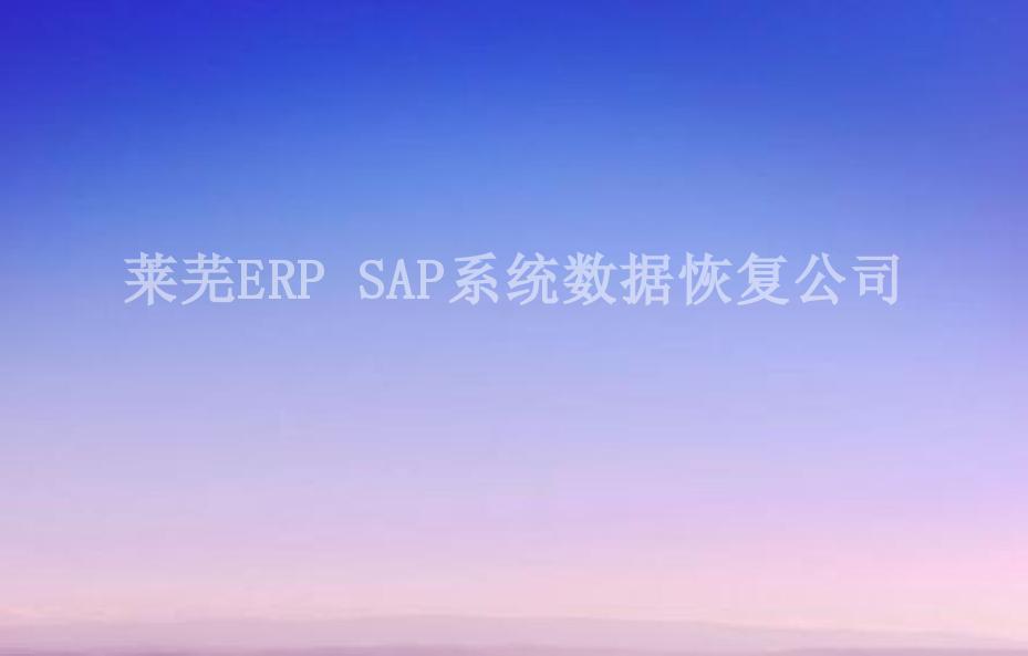 莱芜ERP SAP系统数据恢复公司1