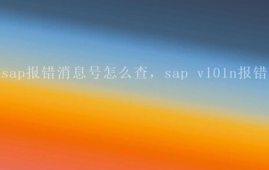 sap报错消息号怎么查，sap vl01n报错2