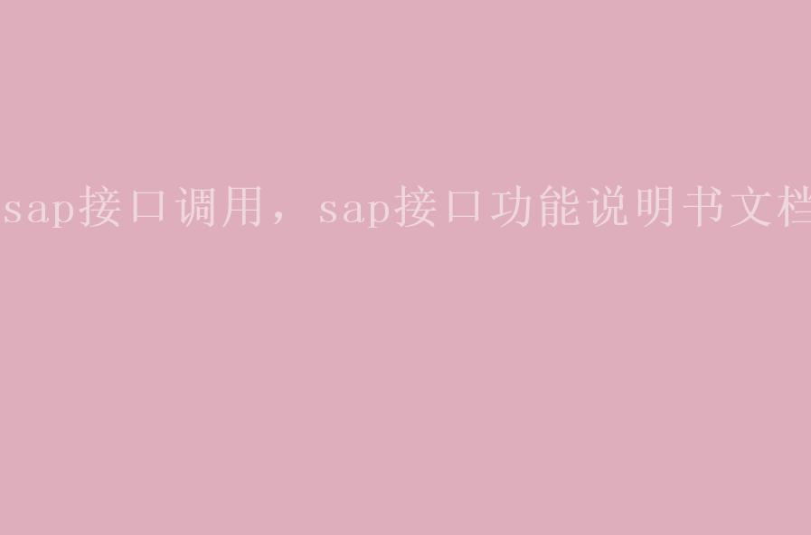 sap接口调用，sap接口功能说明书文档2