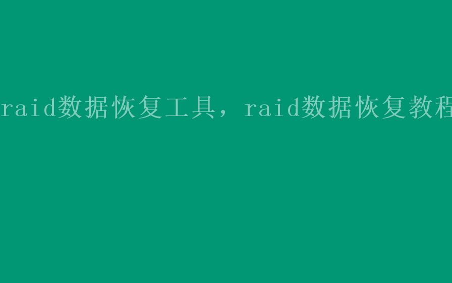 raid数据恢复工具，raid数据恢复教程2