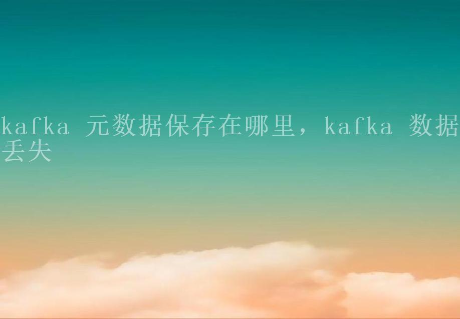 kafka 元数据保存在哪里，kafka 数据丢失1