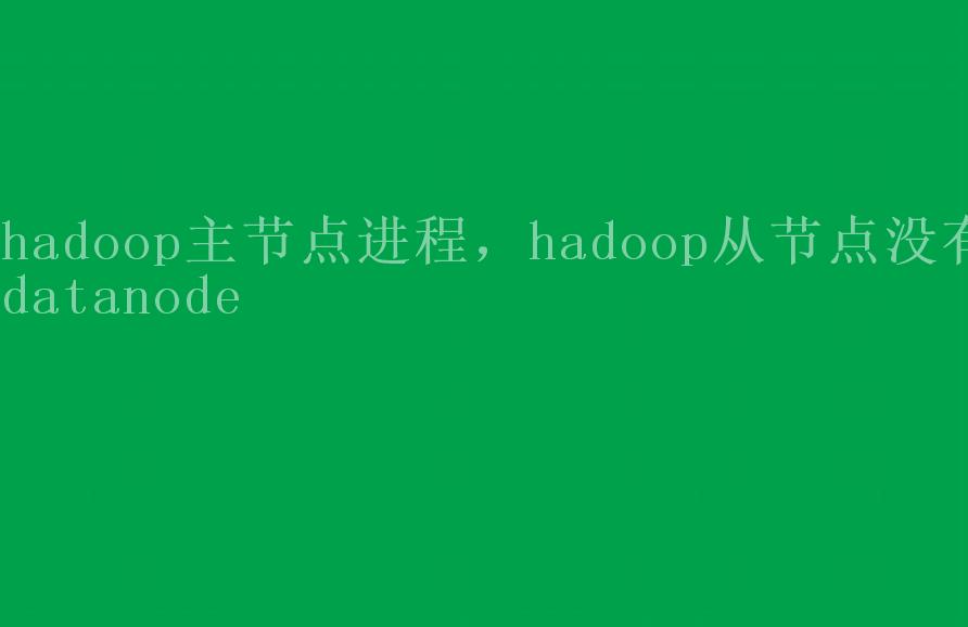 hadoop主节点进程，hadoop从节点没有datanode1