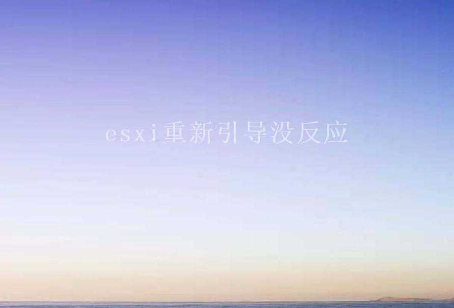 esxi重新引导没反应1