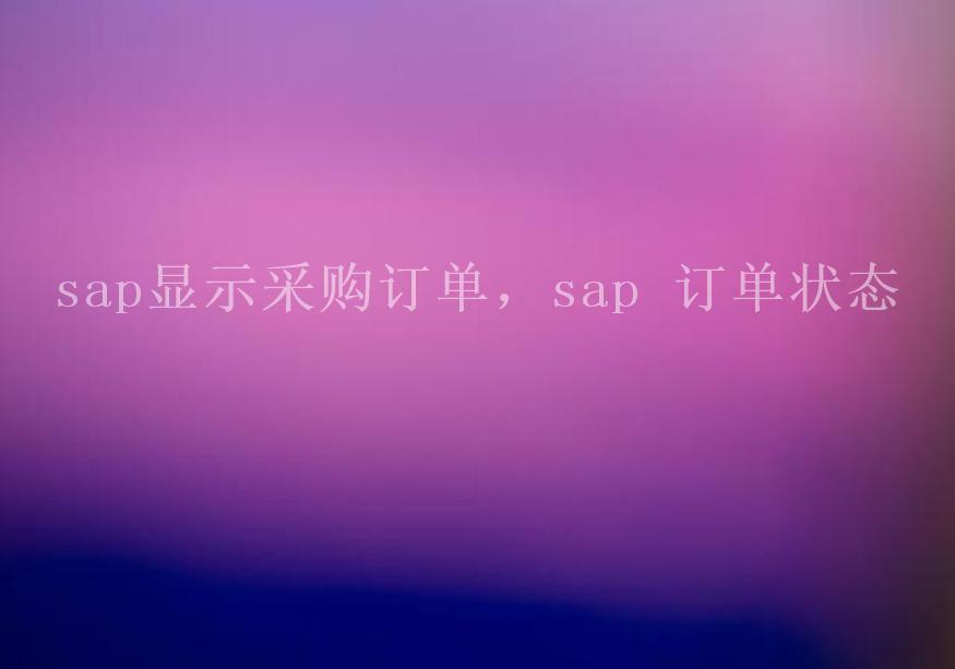 sap显示采购订单，sap 订单状态1