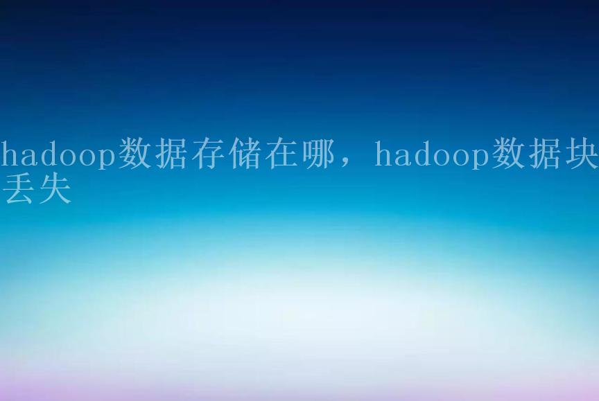 hadoop数据存储在哪，hadoop数据块丢失2