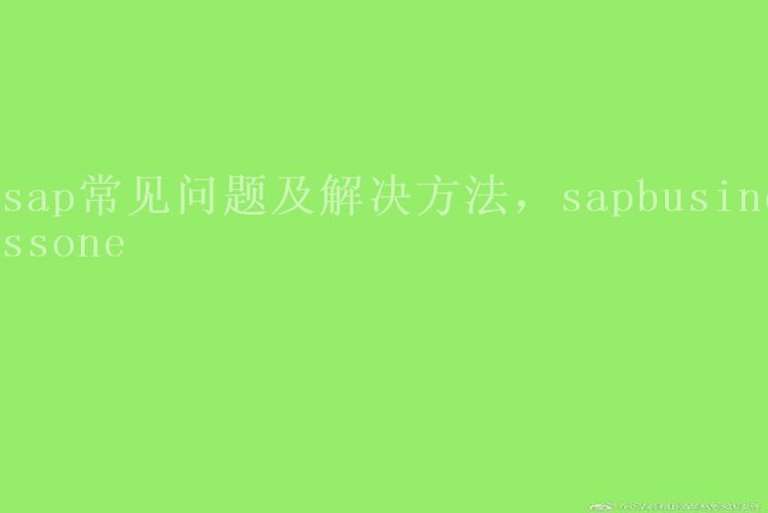 sap常见问题及解决方法，sapbusinessone2