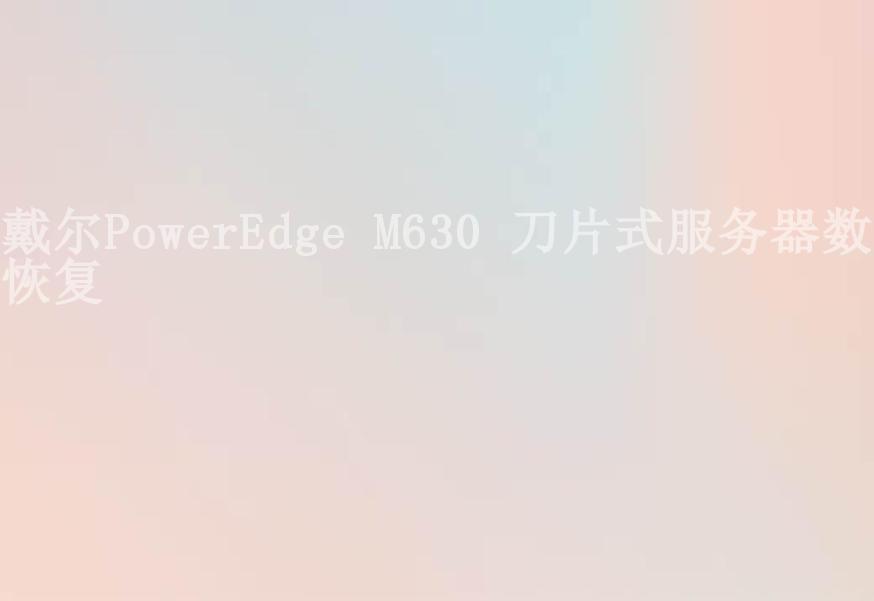 戴尔PowerEdge M630 刀片式服务器数据恢复2