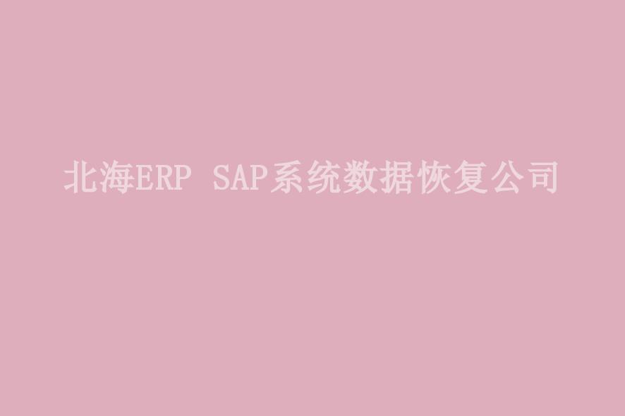 北海ERP SAP系统数据恢复公司1