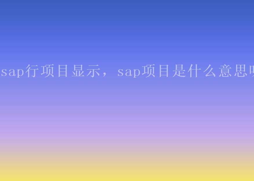 sap行项目显示，sap项目是什么意思呀2